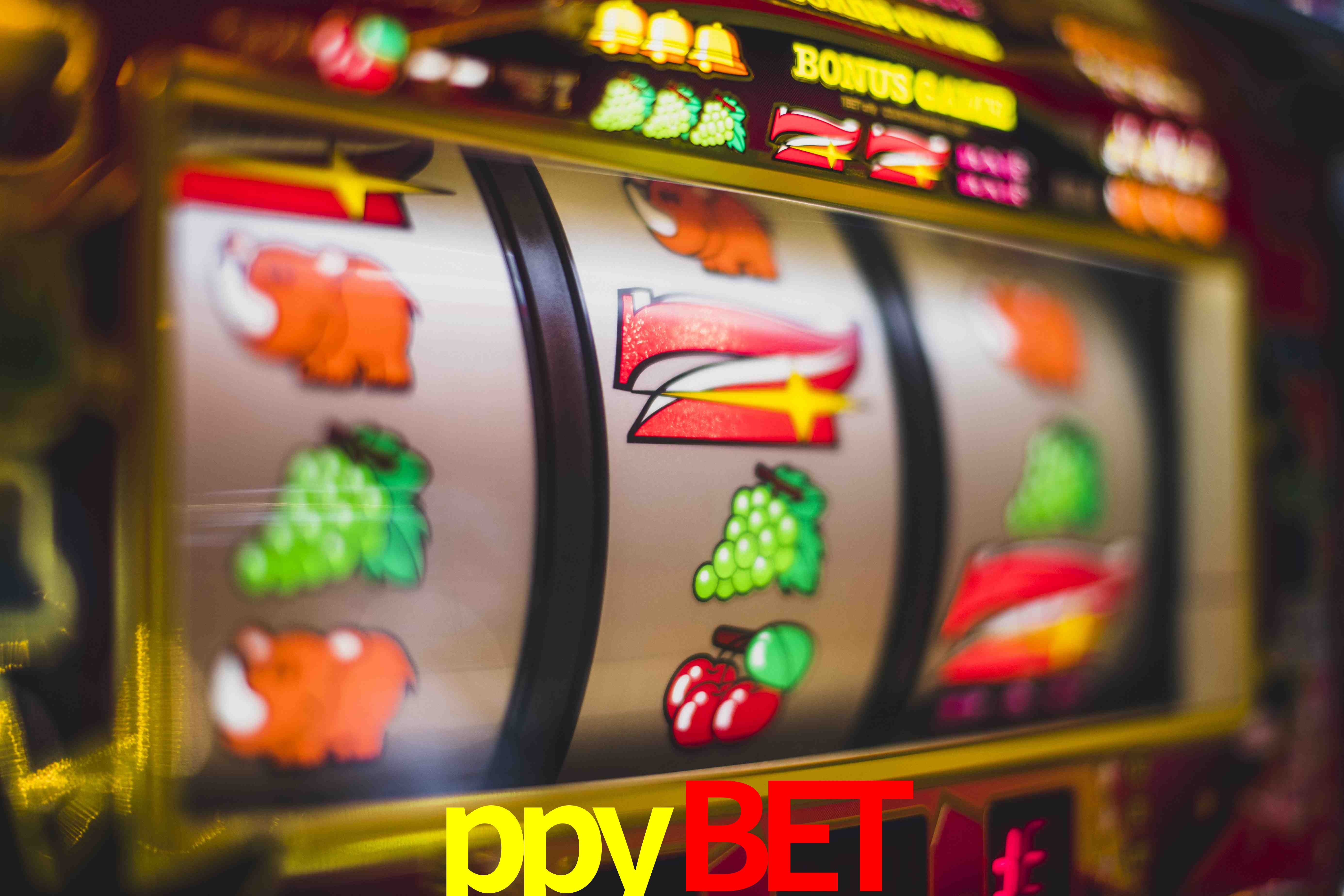 Football Betting ppybet